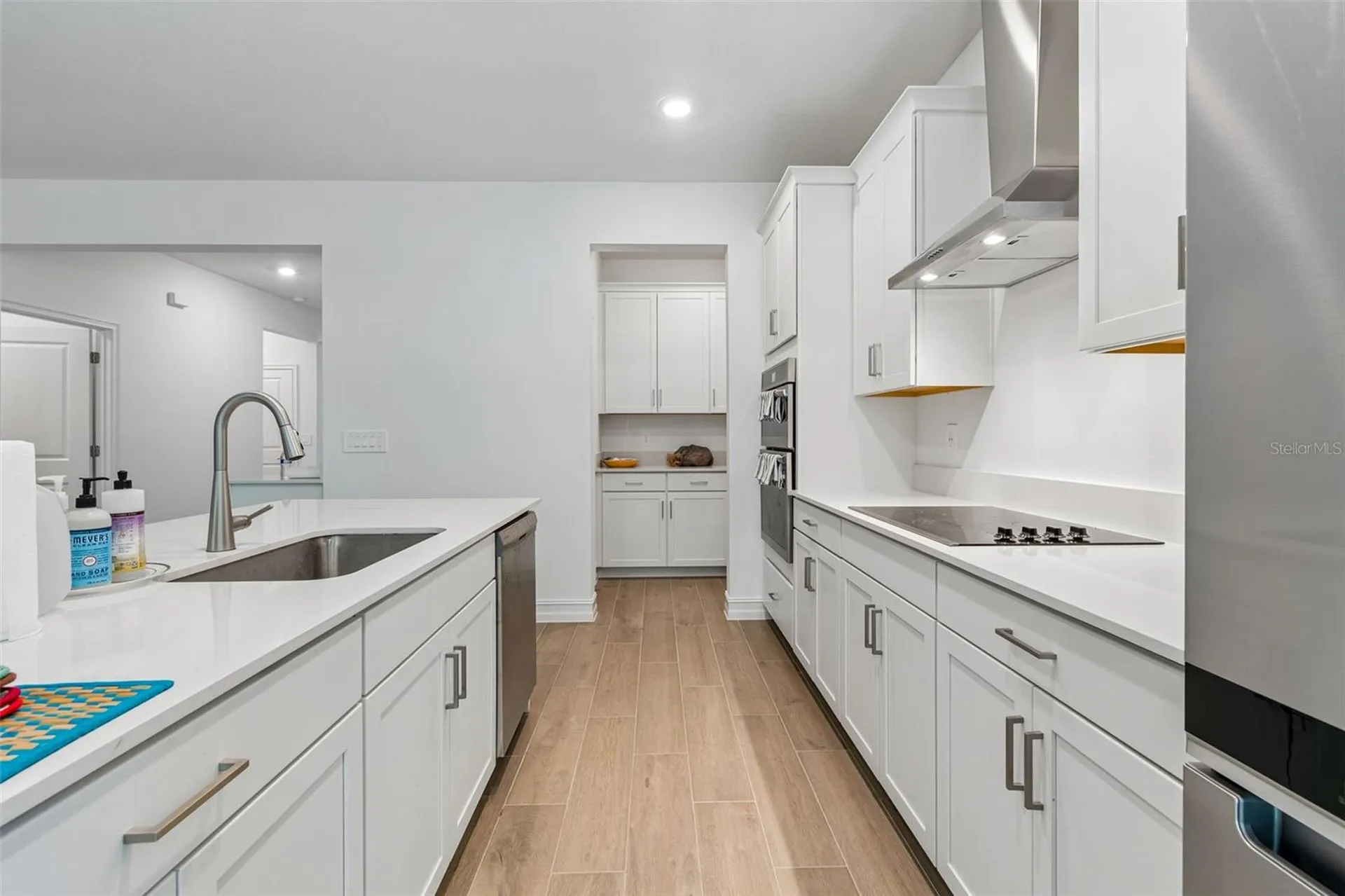 18542 Serene Lake Loop Lutz FL 33548
