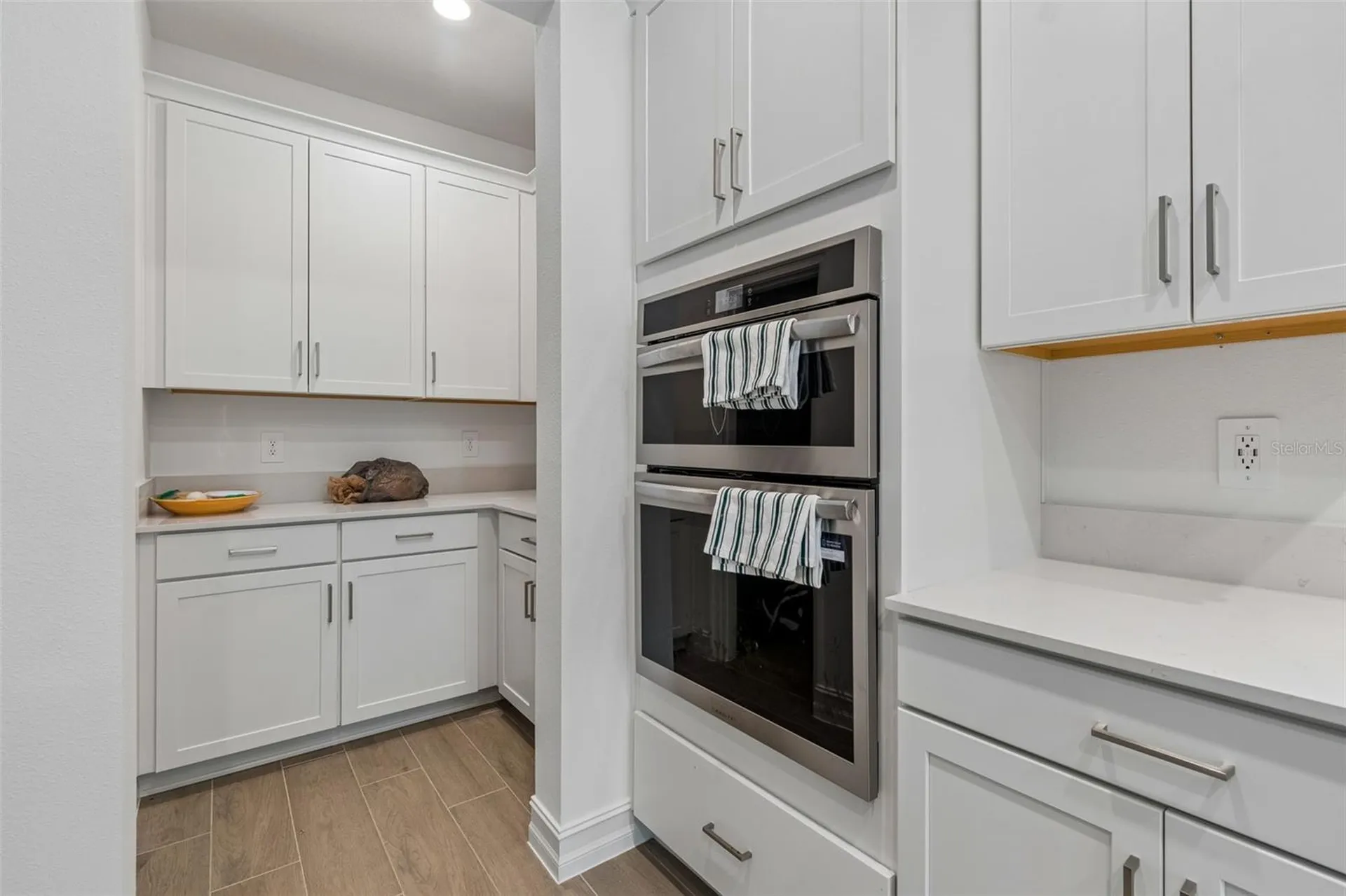 18542 Serene Lake Loop Lutz FL 33548