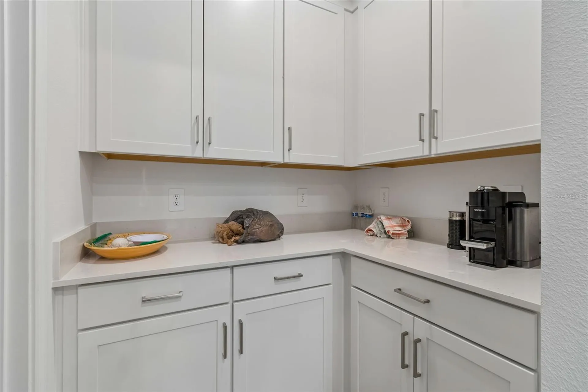 18542 Serene Lake Loop Lutz FL 33548