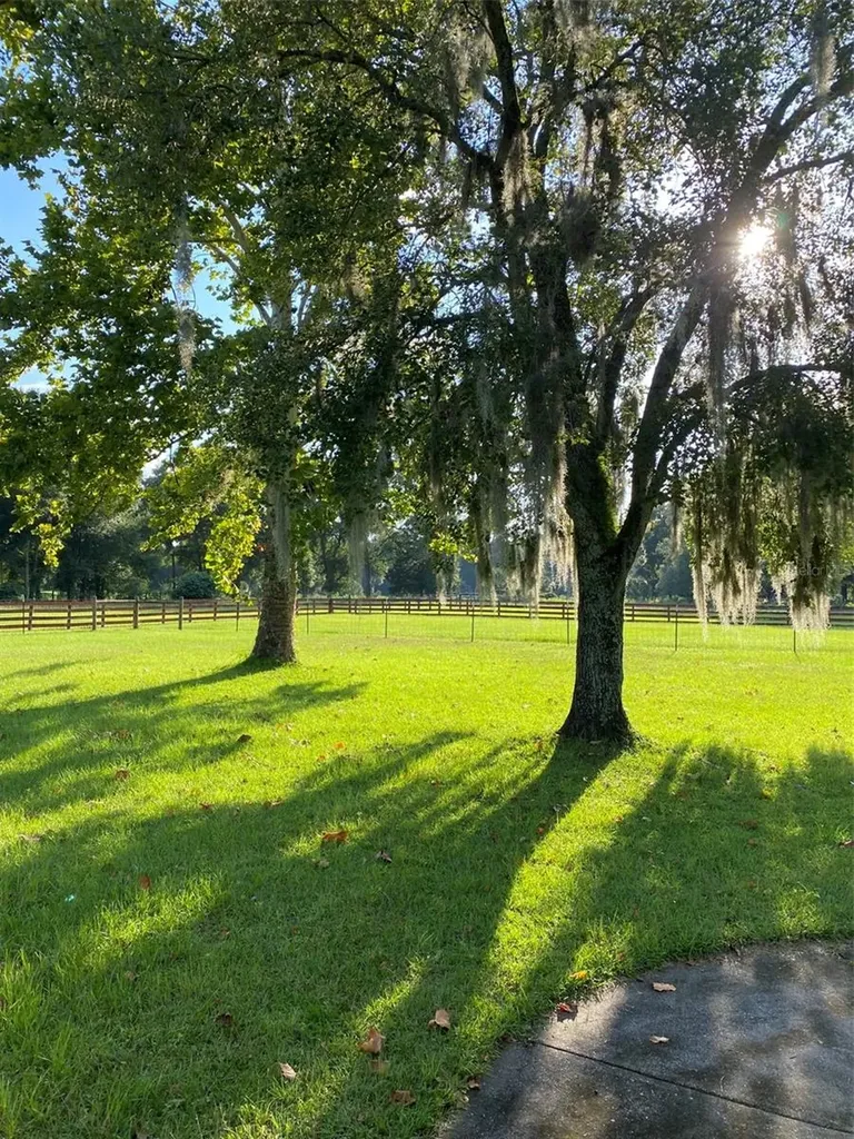 10 SW 50th Avenue Bell FL 32619
