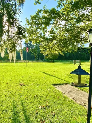 10 SW 50th Avenue Bell FL 32619