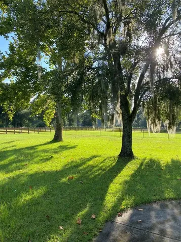 10 SW 50th Avenue Bell FL 32619