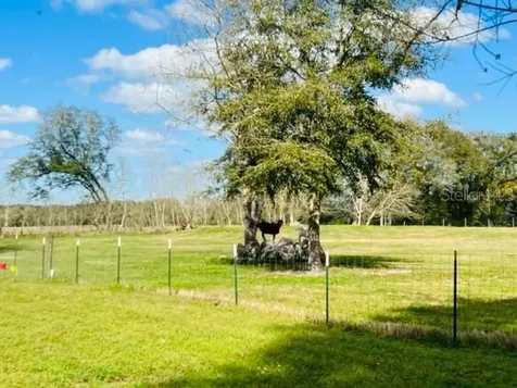 10 SW 50th Avenue Bell FL 32619