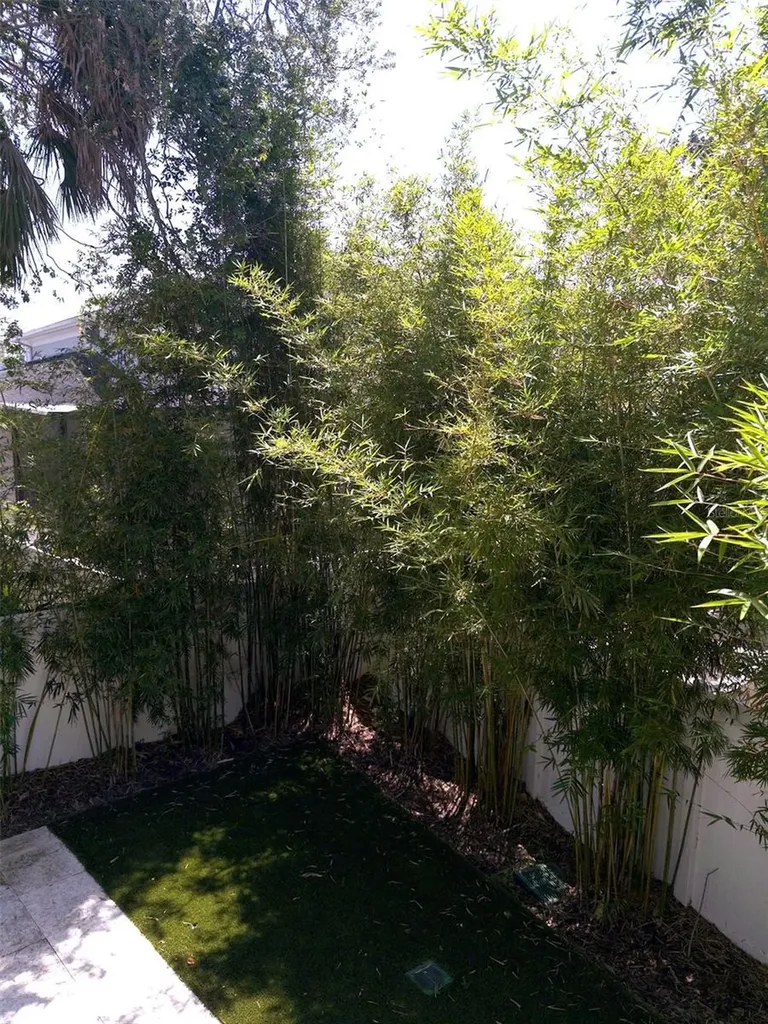 5104 W Evelyn Drive Tampa FL 33609