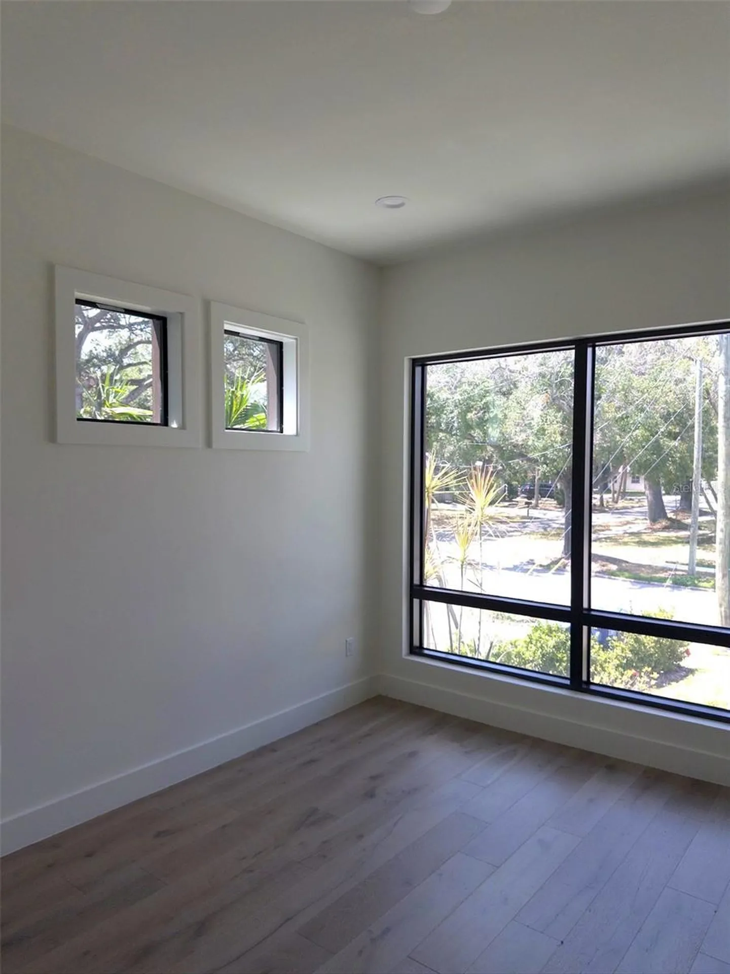 5104 W Evelyn Drive Tampa FL 33609