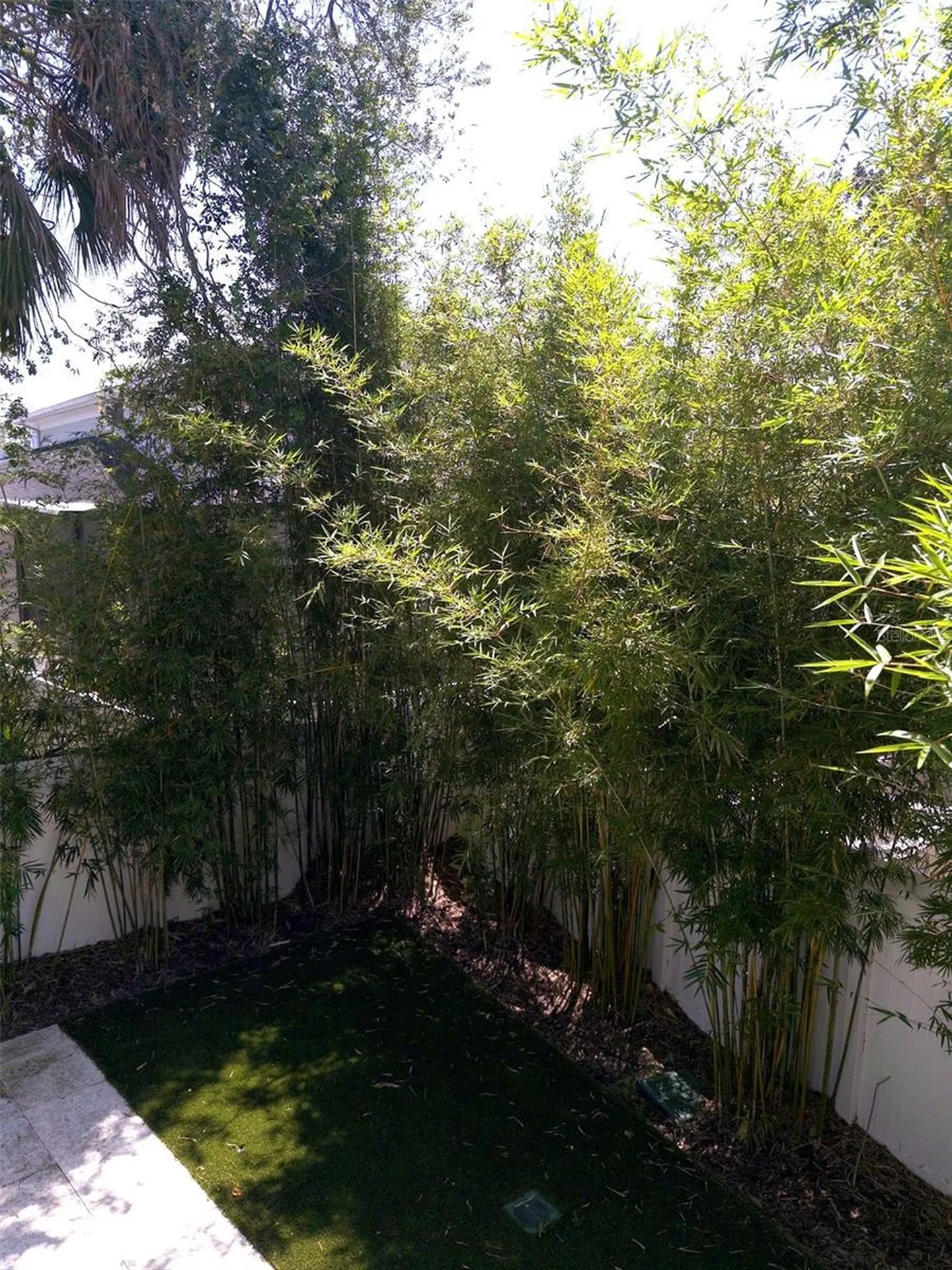 5104 W Evelyn Drive Tampa FL 33609