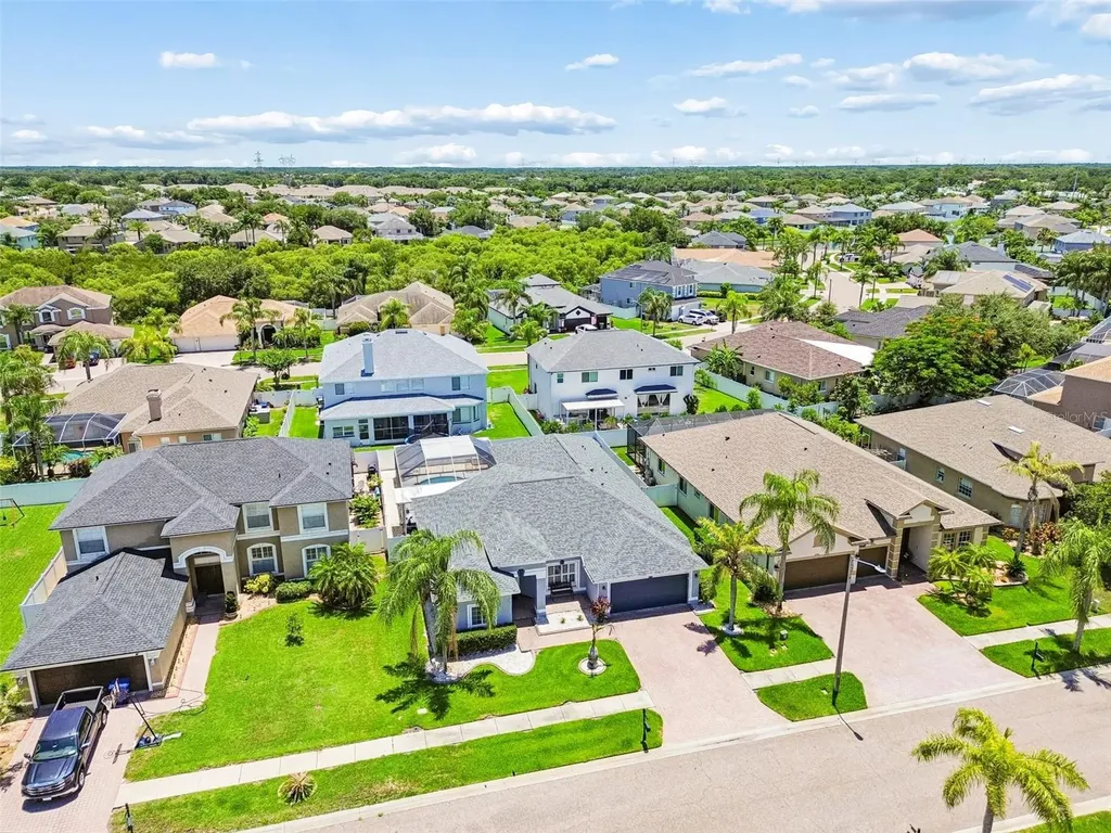 1616 Regal Mist Loop Trinity FL 34655