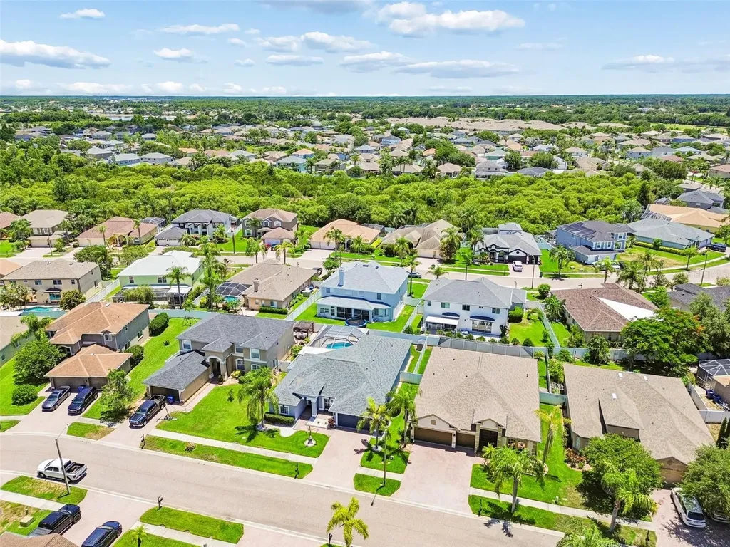 1616 Regal Mist Loop Trinity FL 34655