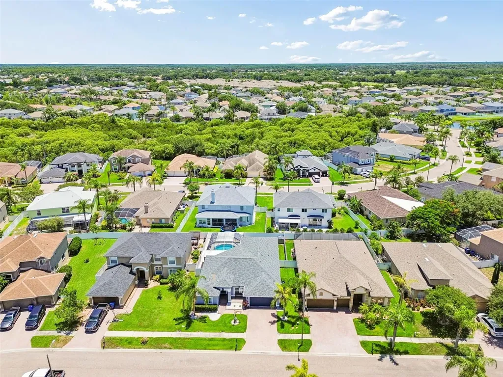1616 Regal Mist Loop Trinity FL 34655