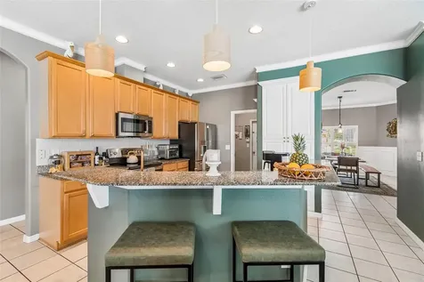 1616 Regal Mist Loop Trinity FL 34655