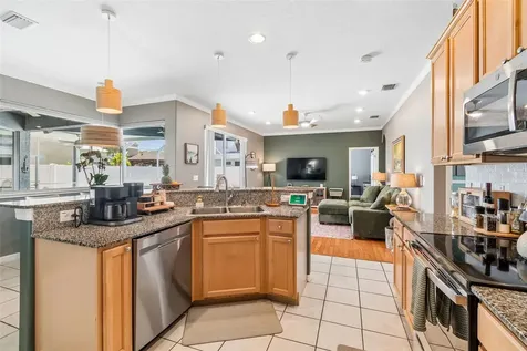 1616 Regal Mist Loop Trinity FL 34655