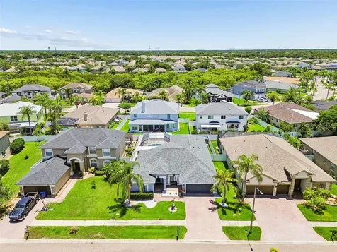 1616 Regal Mist Loop Trinity FL 34655