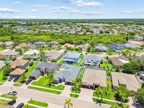 1616 Regal Mist Loop Trinity FL 34655