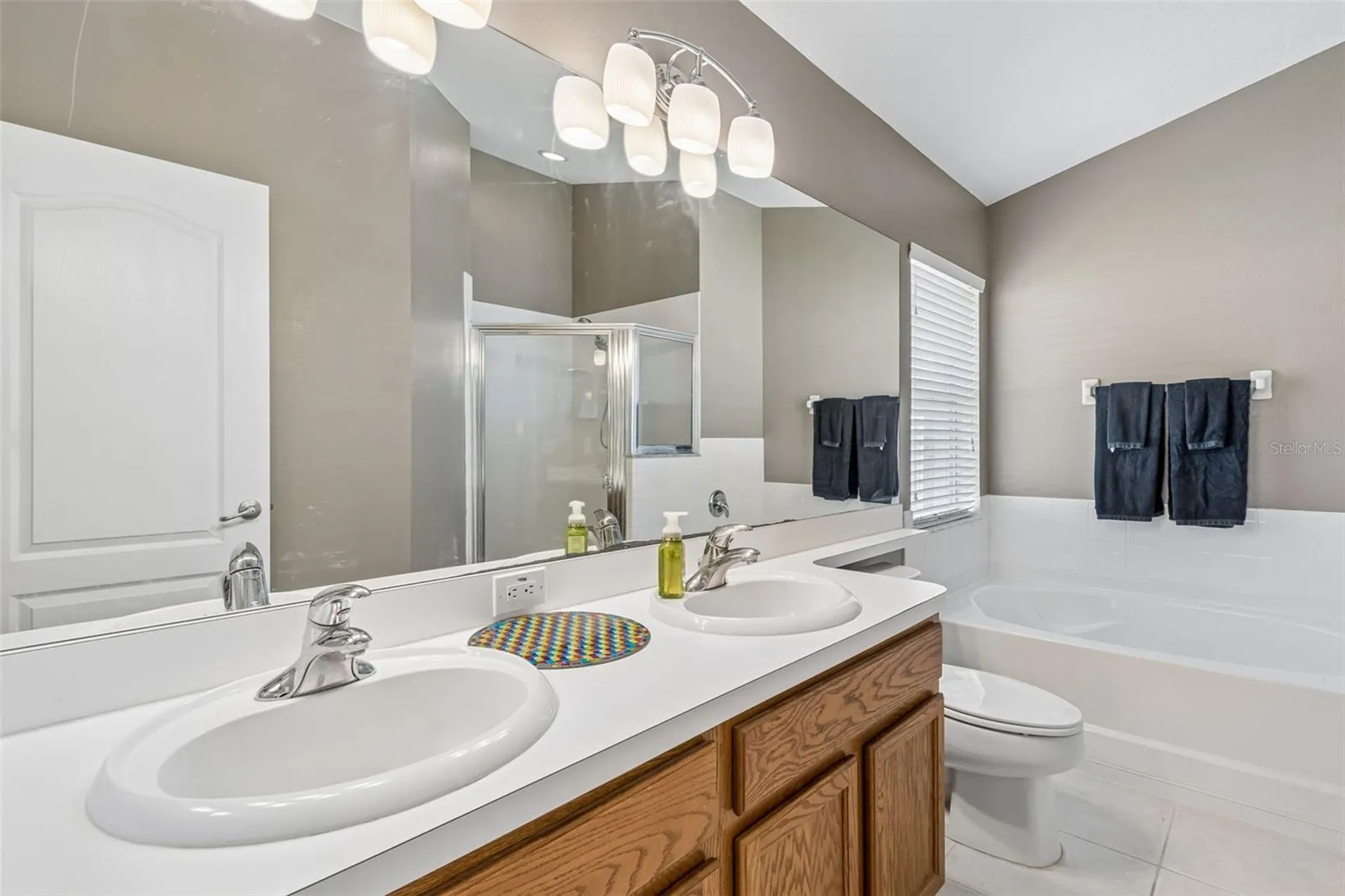 3318 Clover Blossom Circle Land O Lakes FL 34638
