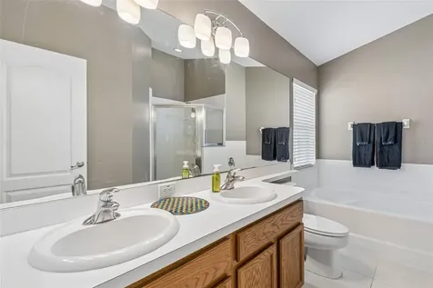 3318 Clover Blossom Circle Land O Lakes FL 34638