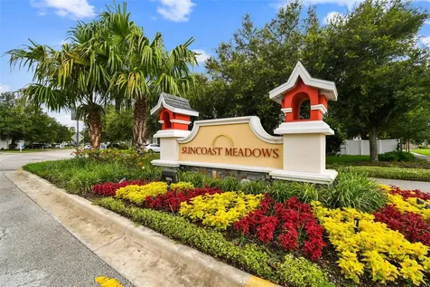 3318 Clover Blossom Circle Land O Lakes FL 34638