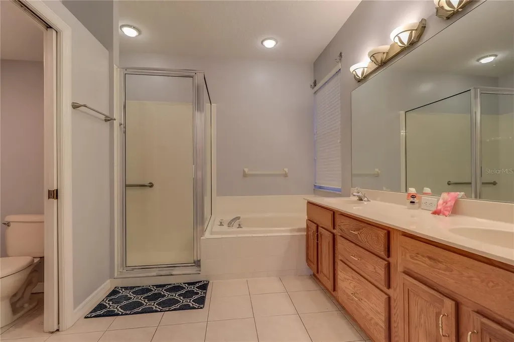 10215 Evergreen Hill Drive Tampa FL 33647