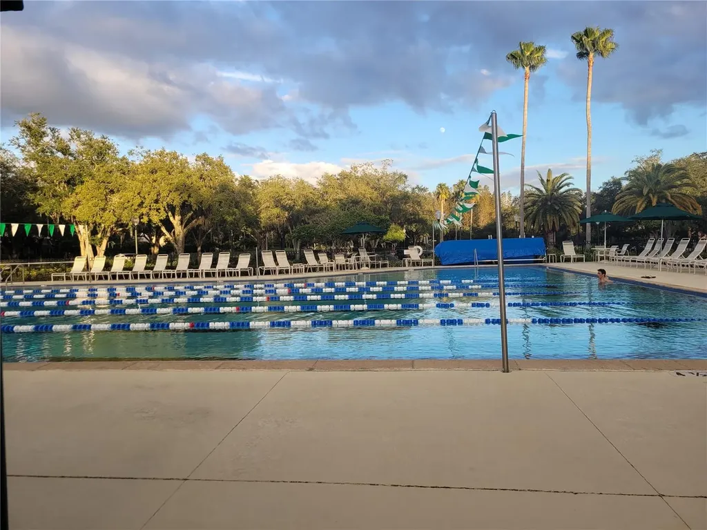 10215 Evergreen Hill Drive Tampa FL 33647
