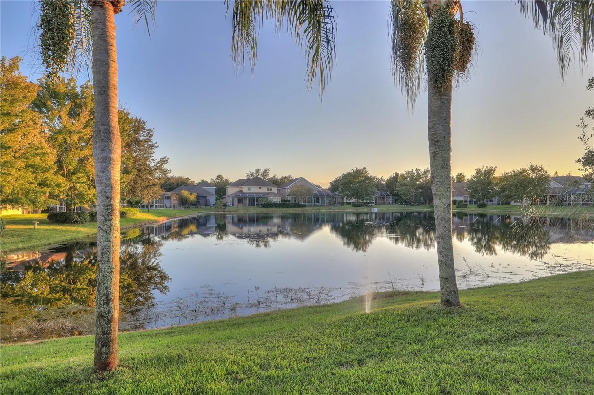 10215 Evergreen Hill Drive Tampa FL 33647