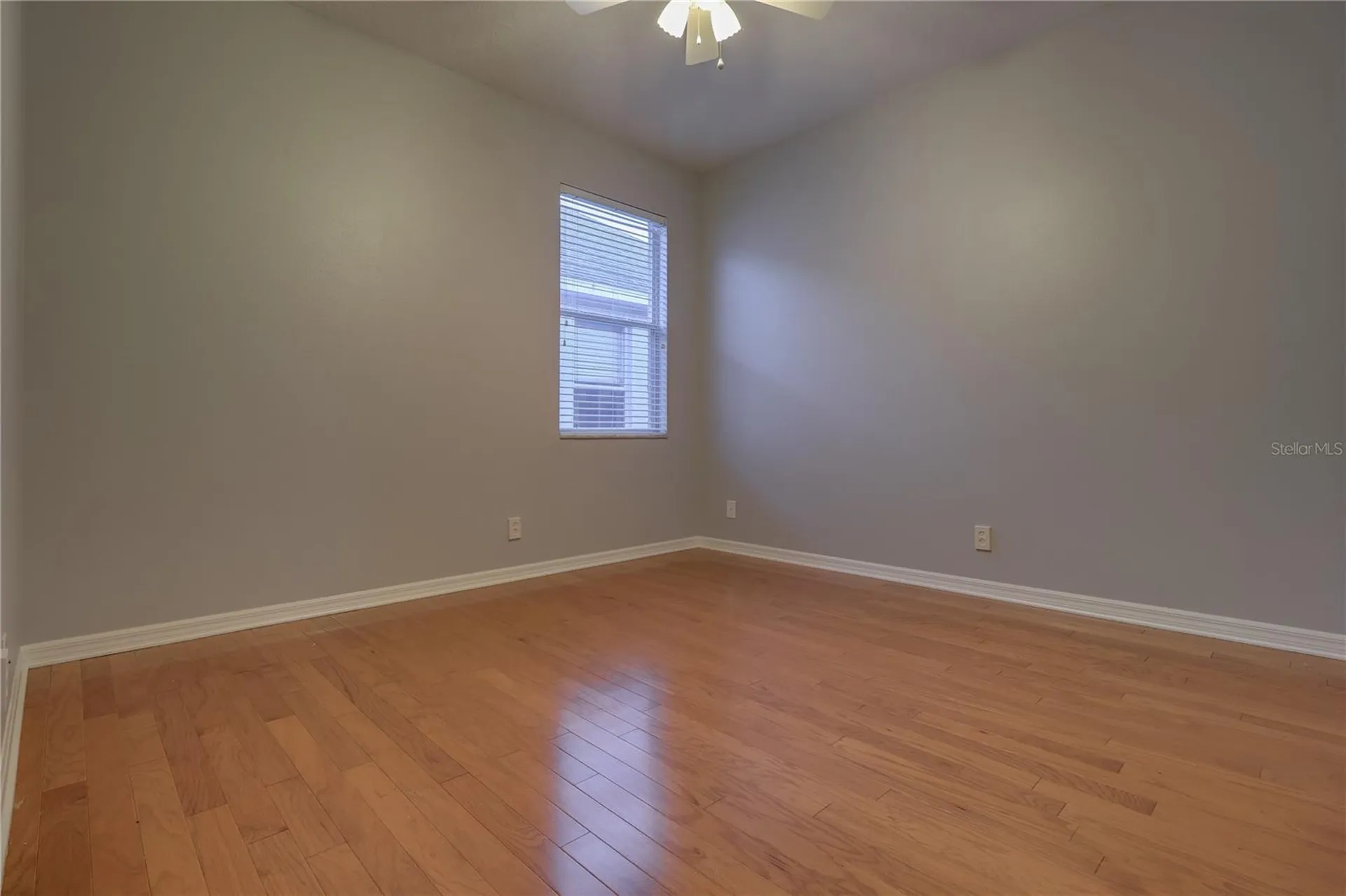 10215 Evergreen Hill Drive Tampa FL 33647