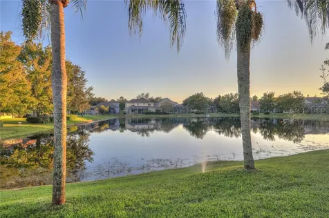 10215 Evergreen Hill Drive Tampa FL 33647