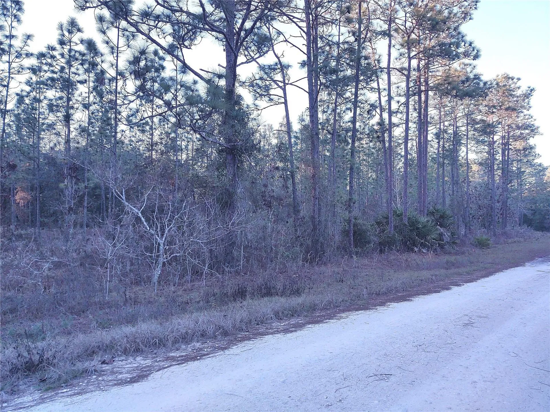 Tbd SW 127th Avenue Road Ocala FL 34481
