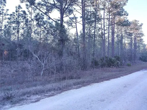 Tbd SW 127th Avenue Road Ocala FL 34481