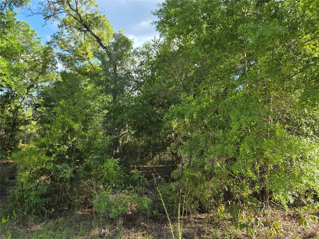 9070 NE 76th Street Bronson FL 32621