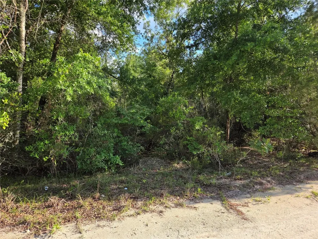 9070 NE 76th Street Bronson FL 32621