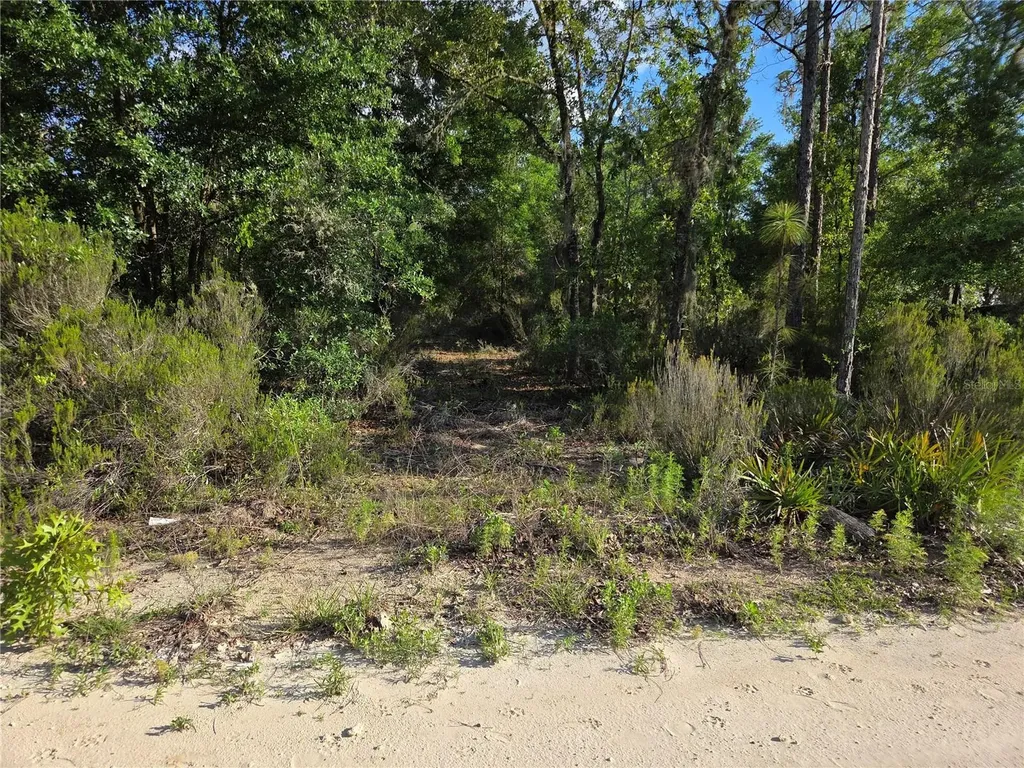 9070 NE 76th Street Bronson FL 32621