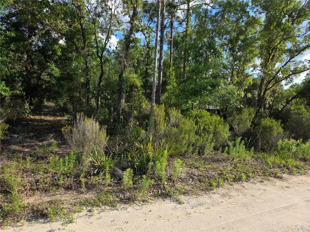 9070 NE 76th Street Bronson FL 32621