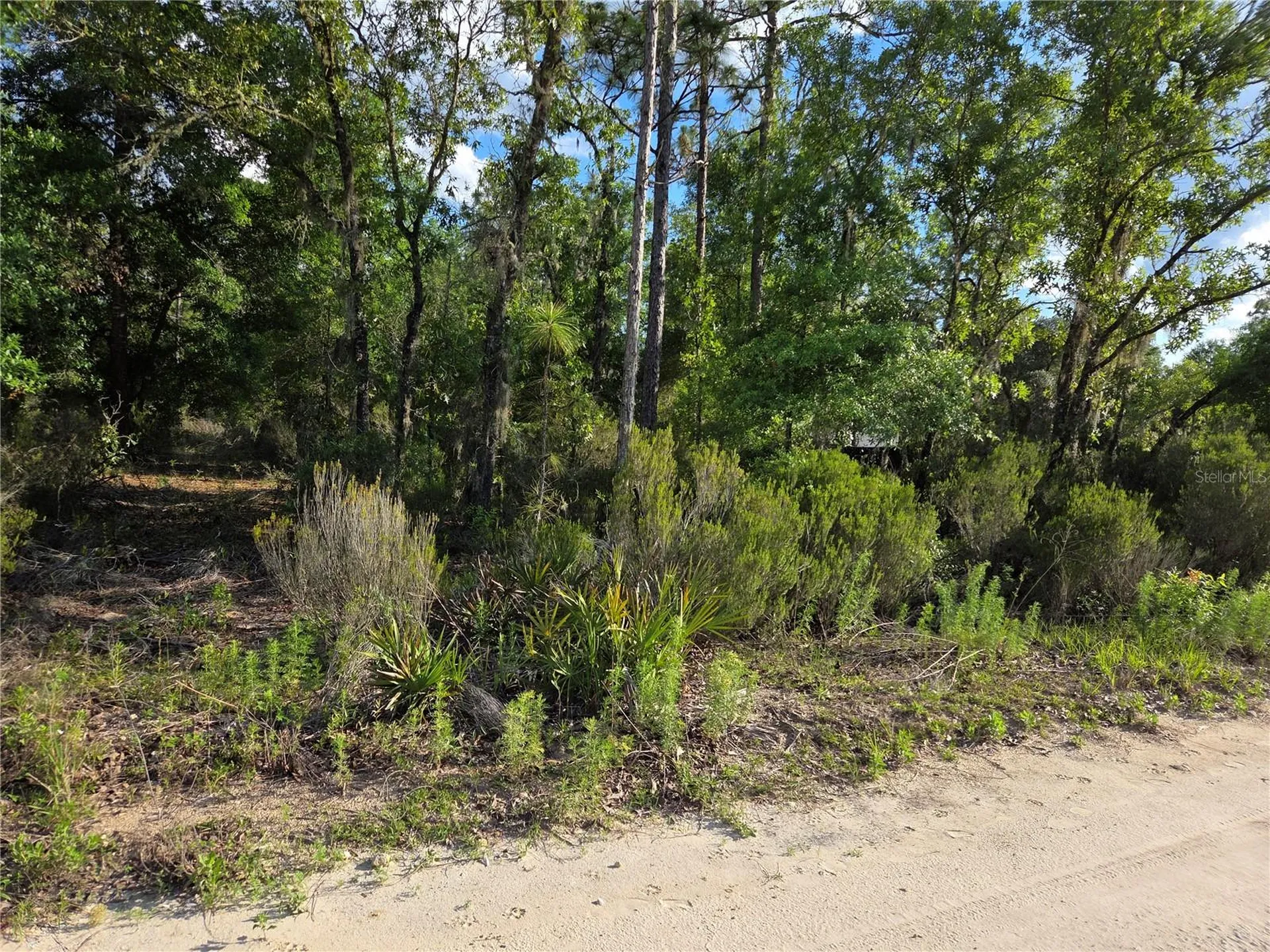 9070 NE 76th Street Bronson FL 32621