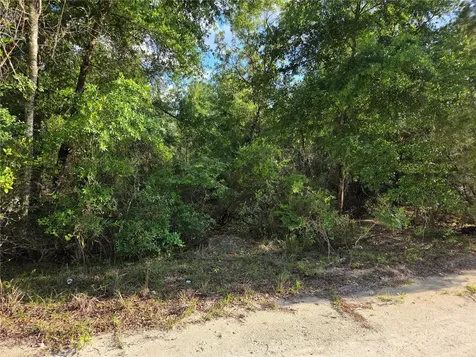 9070 NE 76th Street Bronson FL 32621