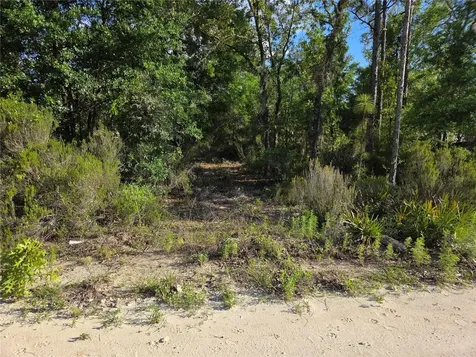 9070 NE 76th Street Bronson FL 32621