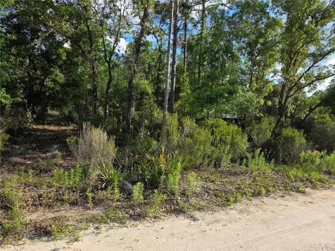9070 NE 76th Street Bronson FL 32621