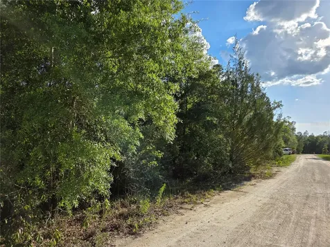 9070 NE 76th Street Bronson FL 32621