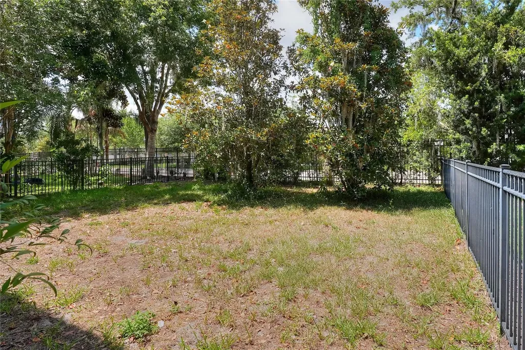16302 Bayberry View Drive Lithia FL 33547