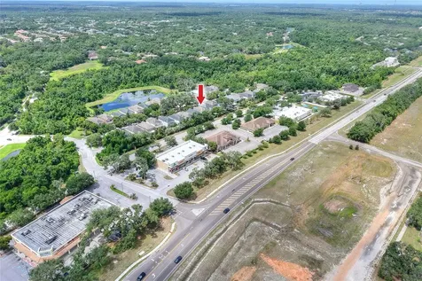 16302 Bayberry View Drive Lithia FL 33547