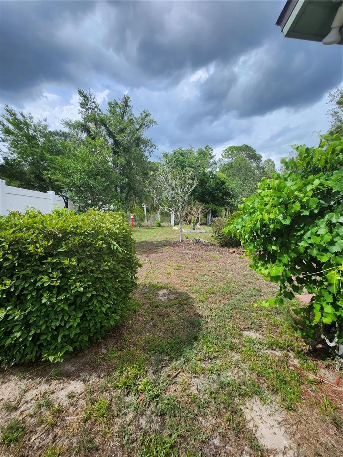 12247 Katherwood Street Spring Hill FL 34608