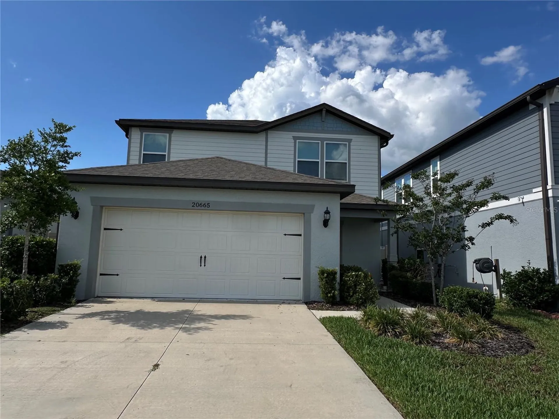 20665 Drake Elm Drive Land O Lakes FL 34638