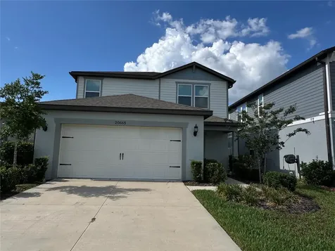 20665 Drake Elm Drive Land O Lakes FL 34638