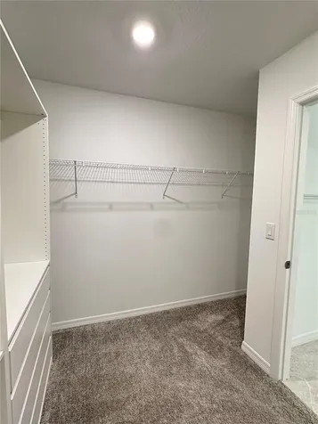 20665 Drake Elm Drive Land O Lakes FL 34638