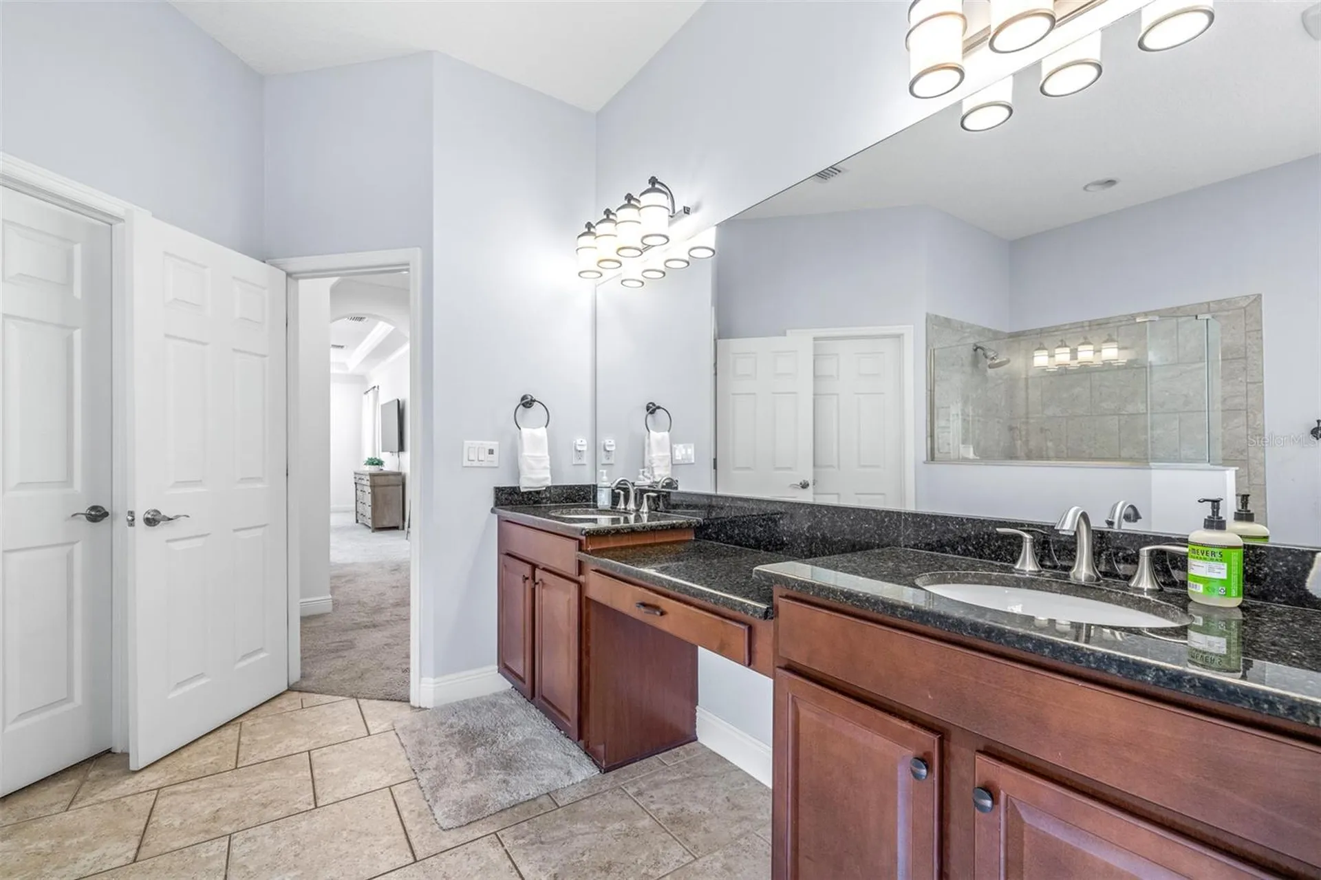 3227 Watermark Drive Wesley Chapel FL 33544