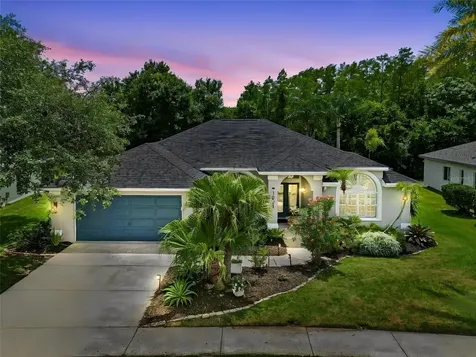 1021 Arlinbrook Drive Trinity FL 34655