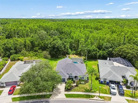 1021 Arlinbrook Drive Trinity FL 34655