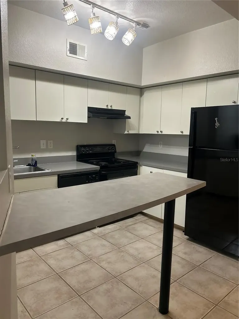 2411 W Horatio Street Tampa FL 33609