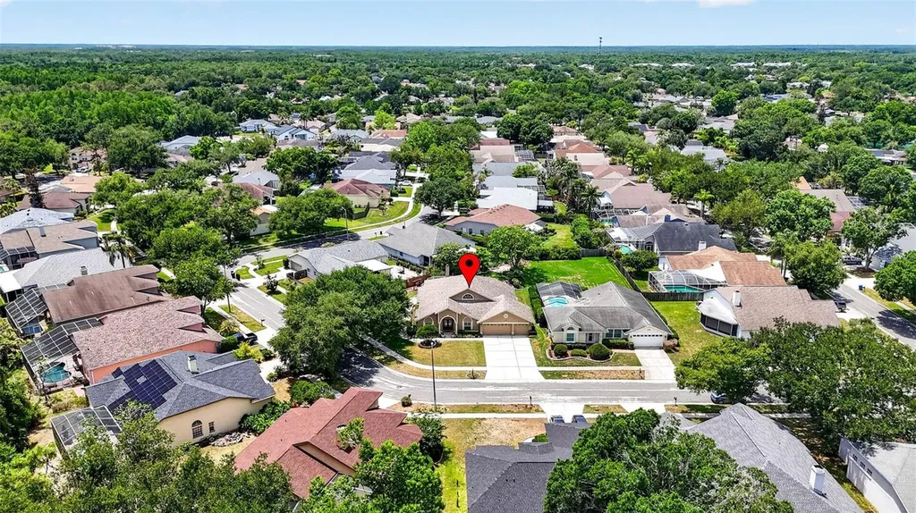 9436 Rockrose Drive Tampa FL 33647