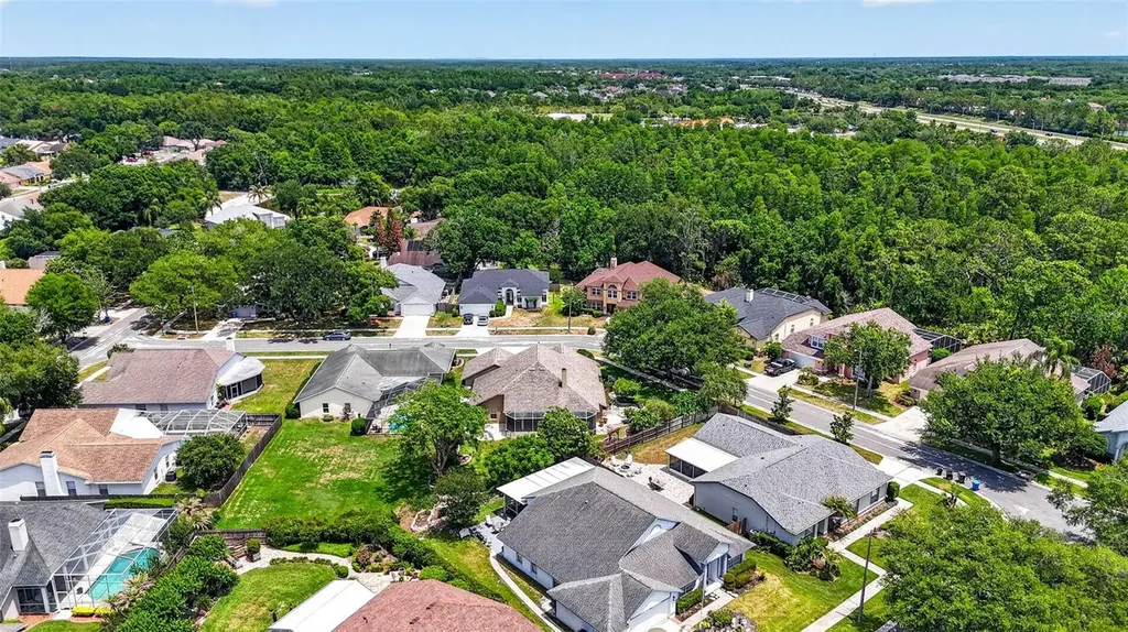 9436 Rockrose Drive Tampa FL 33647