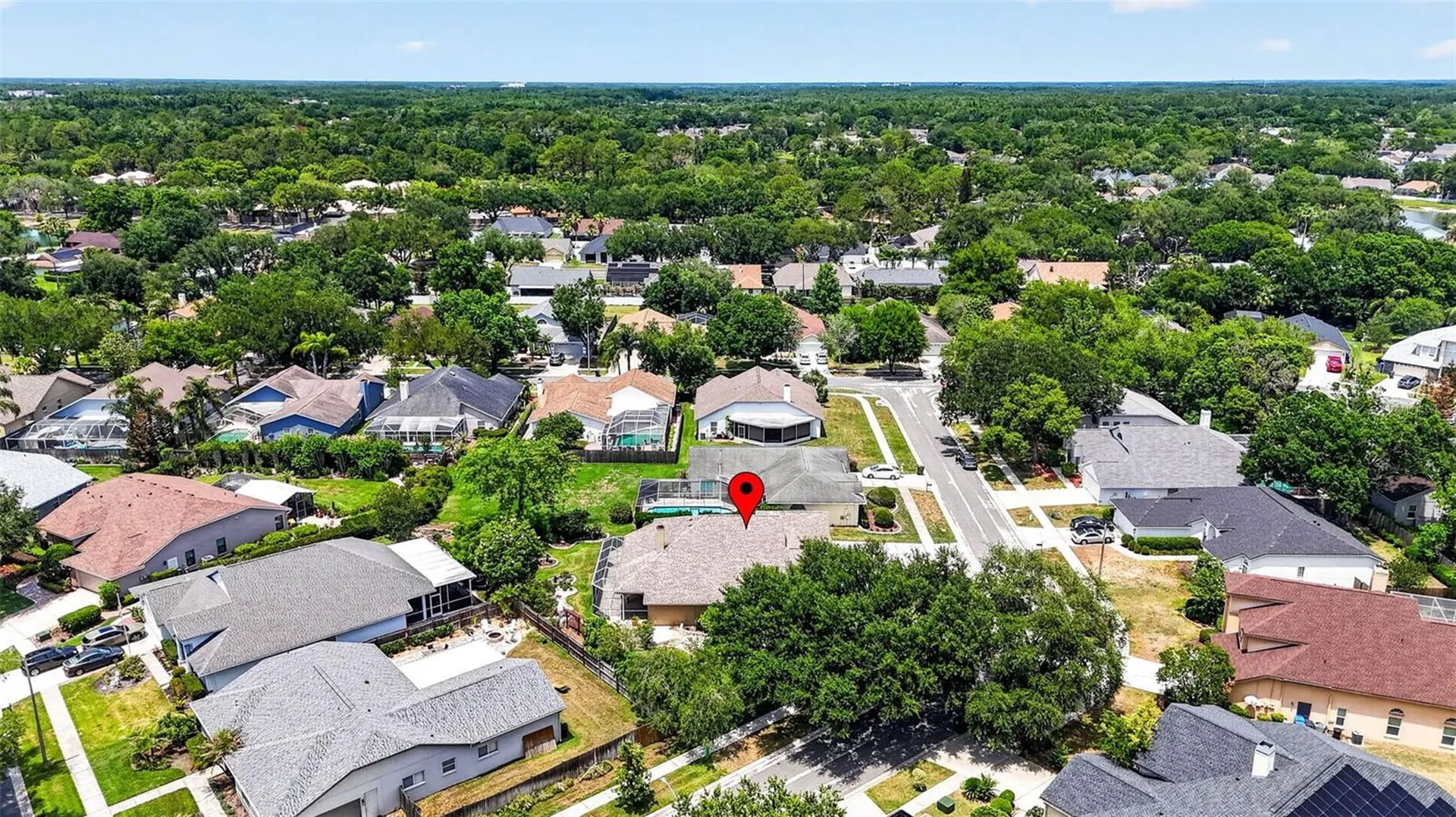 9436 Rockrose Drive Tampa FL 33647