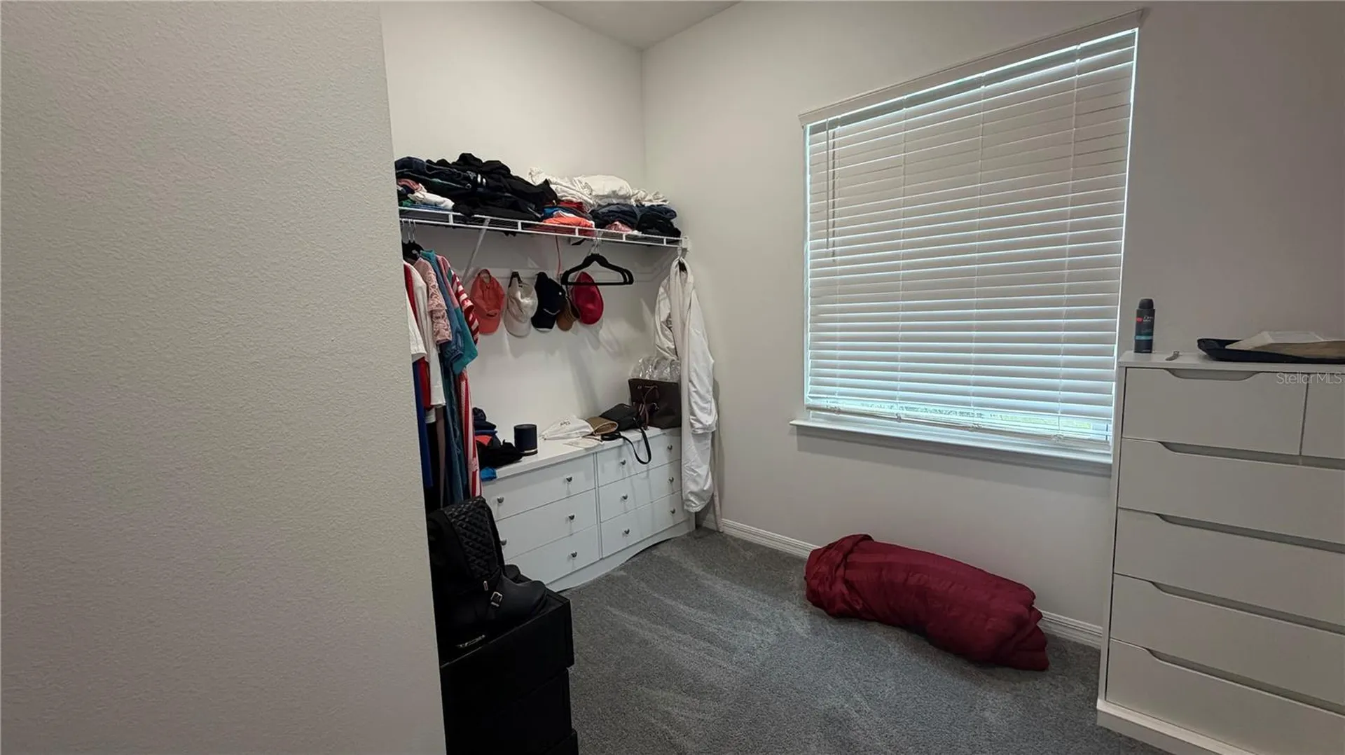 408 Cierra Oaks Circle Lady Lake FL 32159